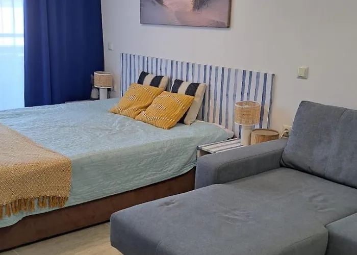Vladan Apartament *