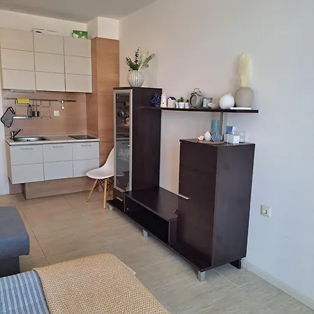 Vladan Apartment *
